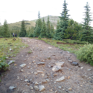 Quandary Peak (05).jpg